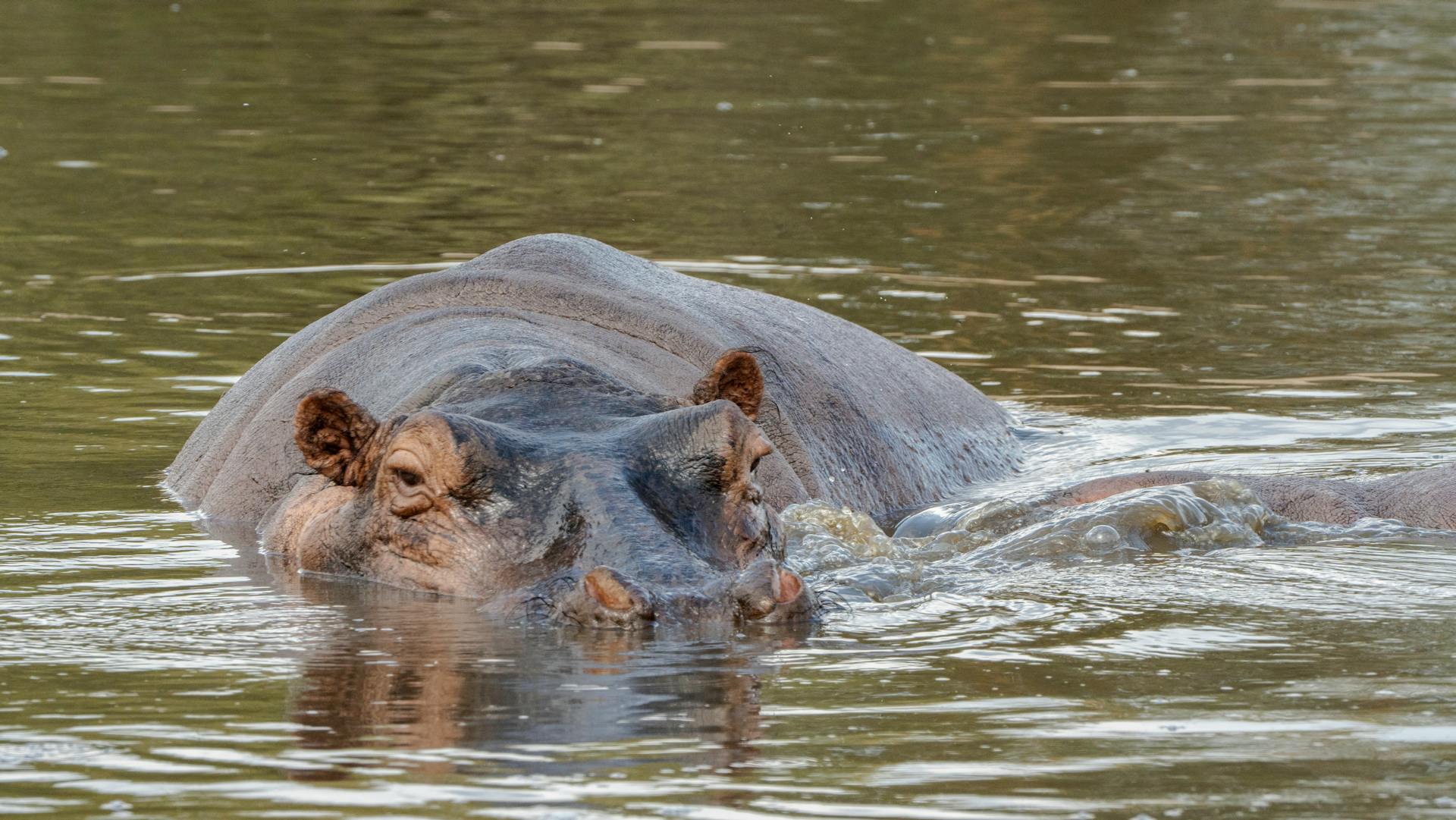 Udzungwa Sanje Falls
