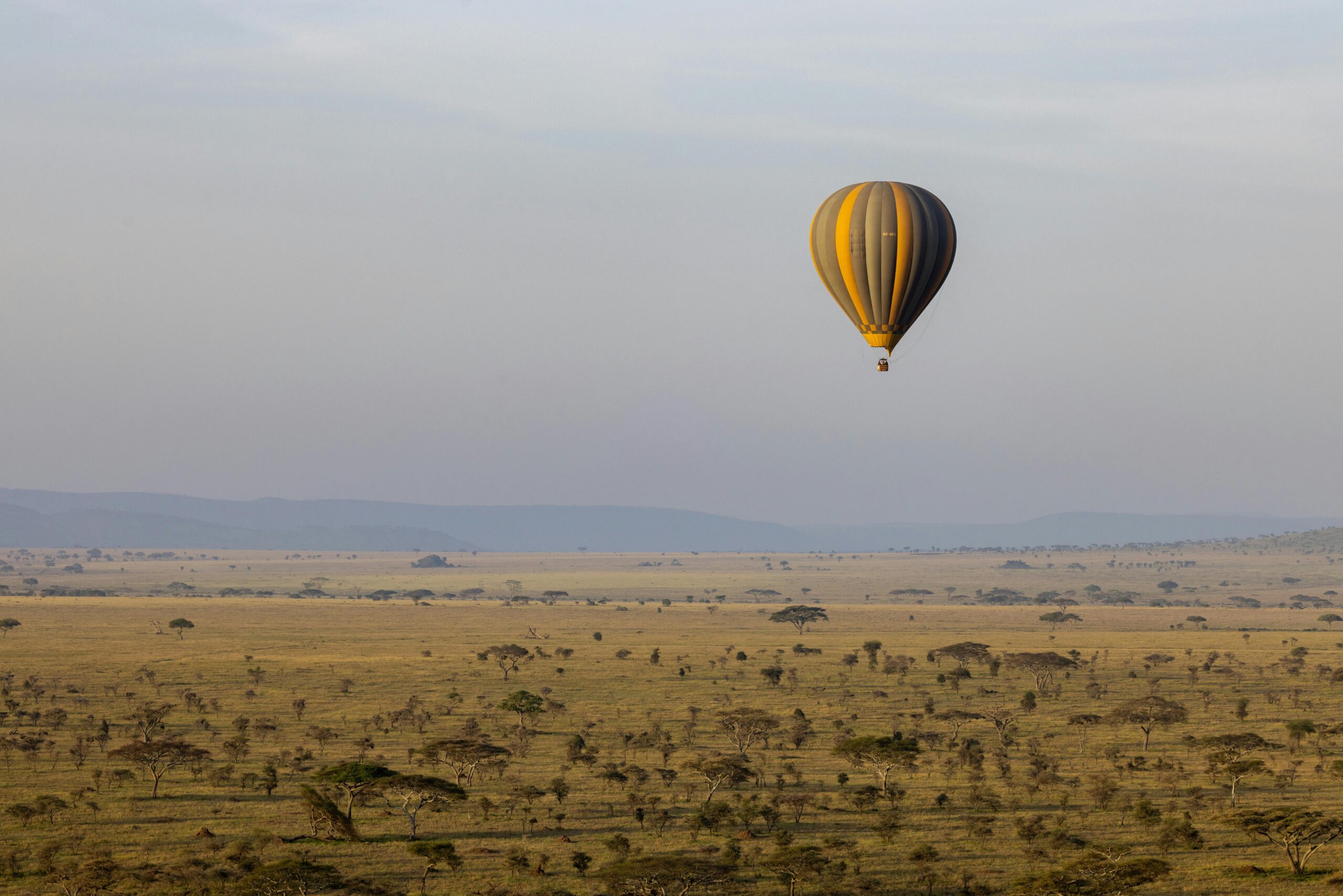 Uganda fly-in luxury safari