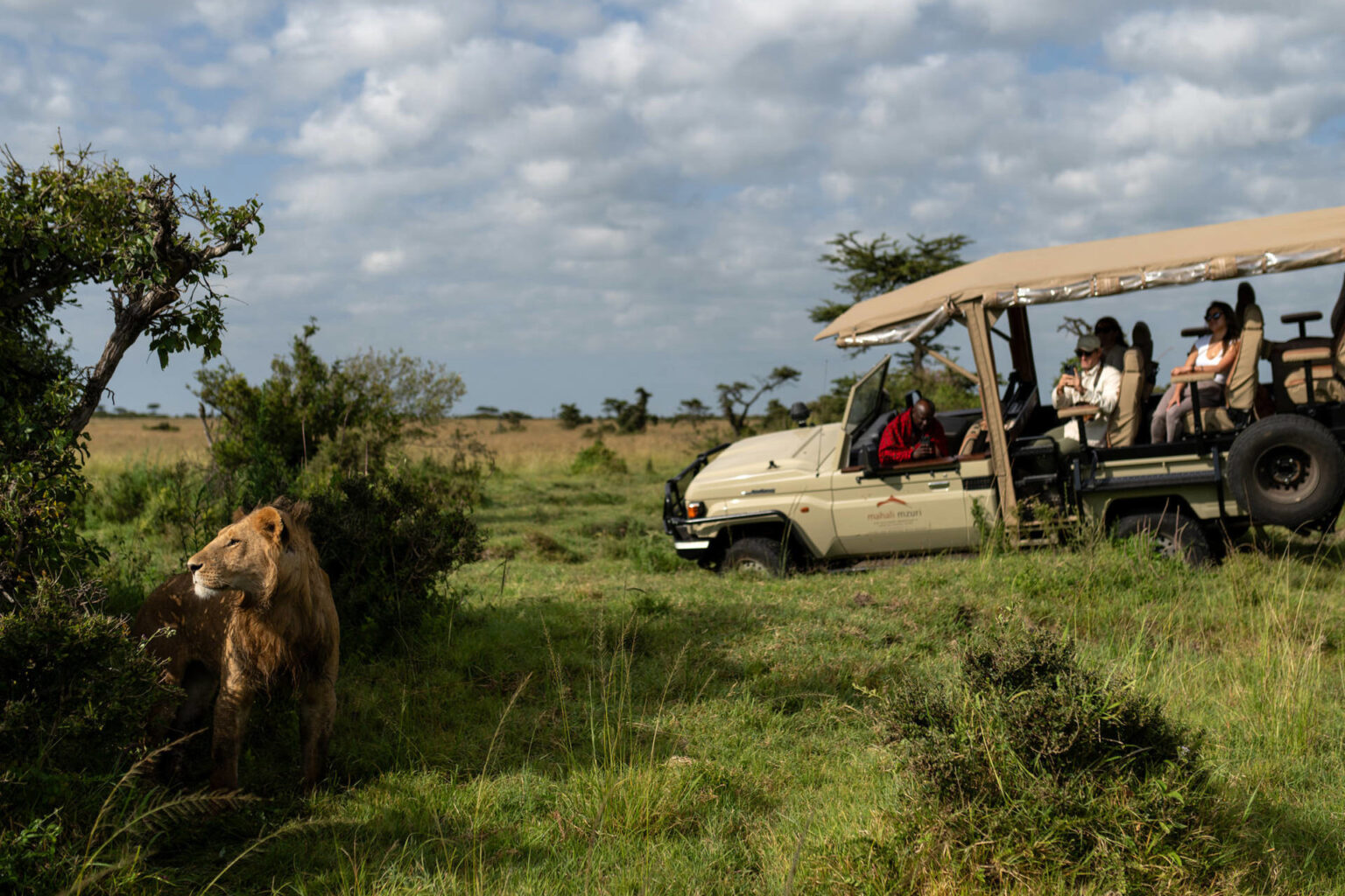 mahali-mzuri-game-drives-7-1536x1024