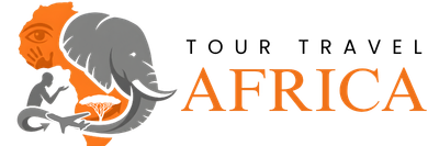 cropped-cropped-Untitled-design-11-1.png