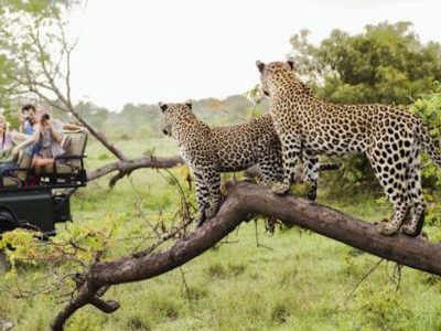 Untitled (400 x 400 px) (2)