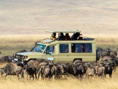 Untitled (400 x 400 px) (2)