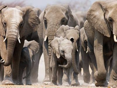 Untitled (400 x 400 px)