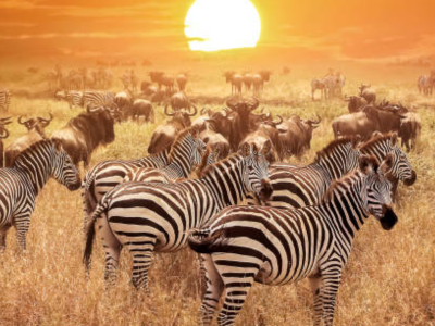 Untitled (400 x 400 px)